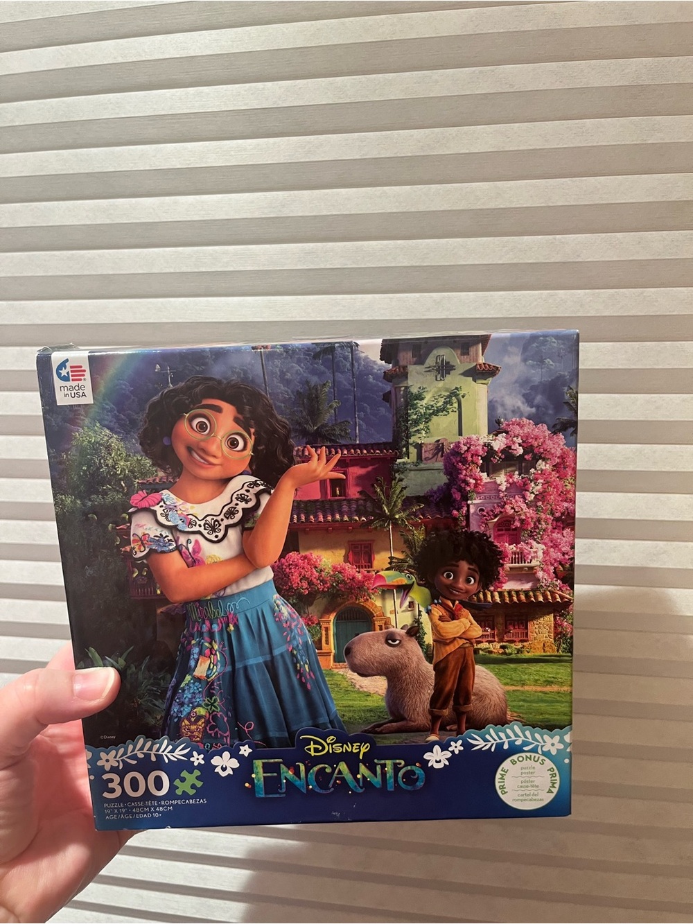 Disney Encanto Puzzle with Bright Blue and Pink Artwork